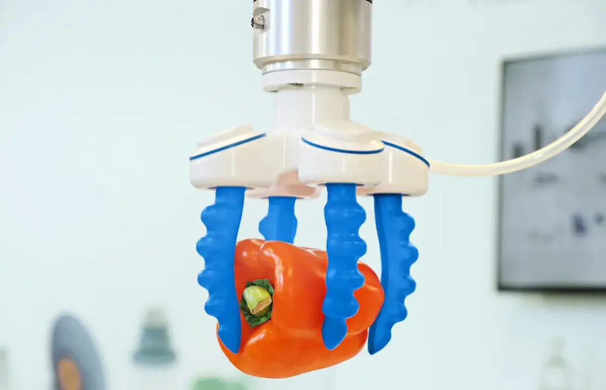 Tay gắp robot mềm (Soft Gripper) của Schmalz đang gắp ớt chuông đỏ, công nghệ mGrip cũ của Soft Robotics.